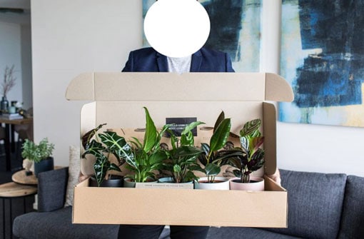 Plants Delivery