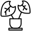 শোভাময় গাছ