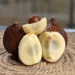 সালাক