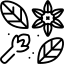 মশলা জাতীয় গাছ